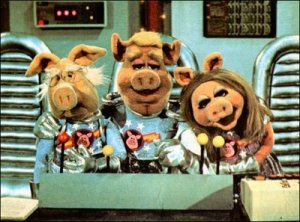 b9dc6-pigs_in_space